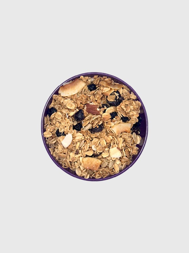 Organic Blueberry Almond Granola