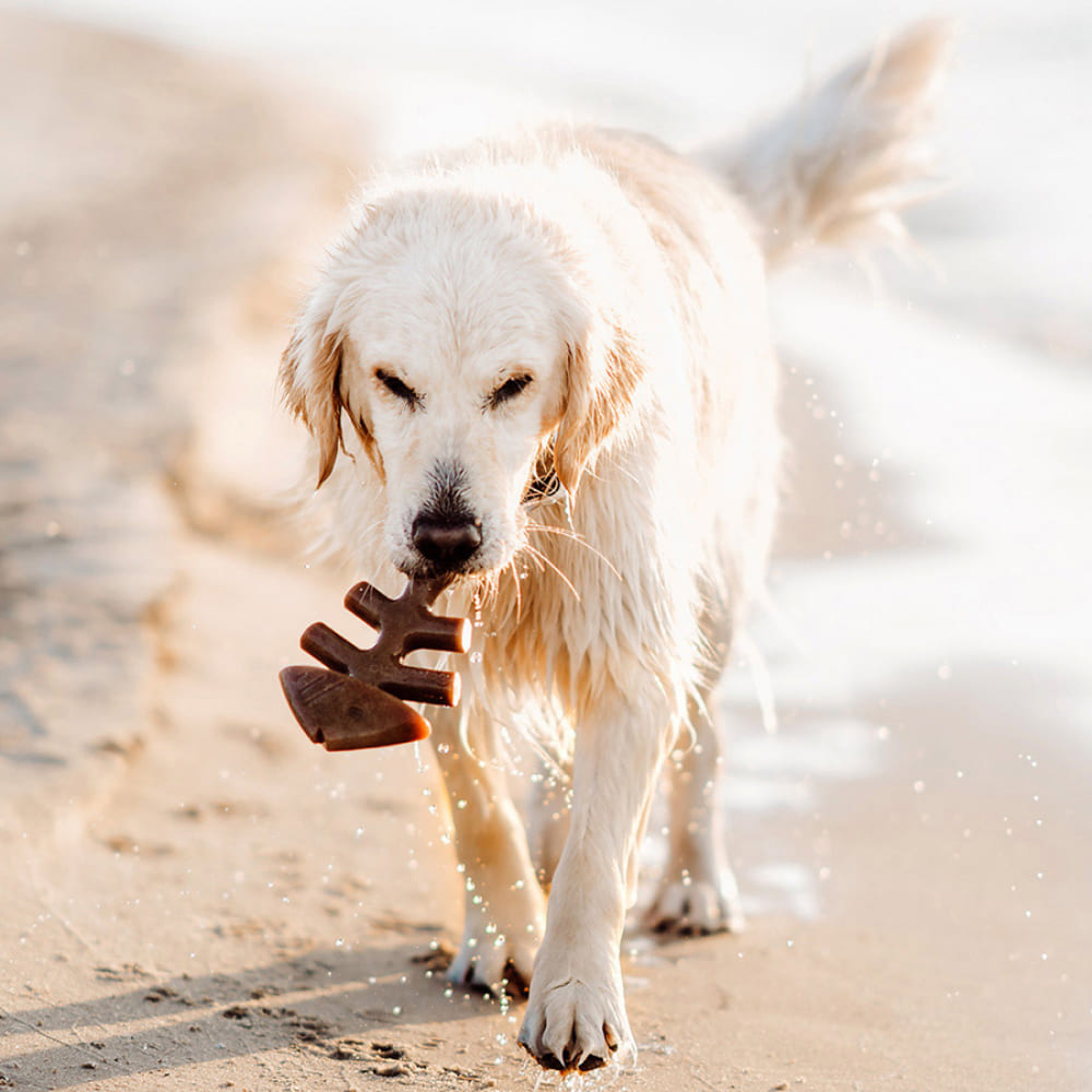Pet product