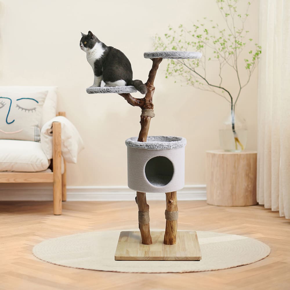 Pet product