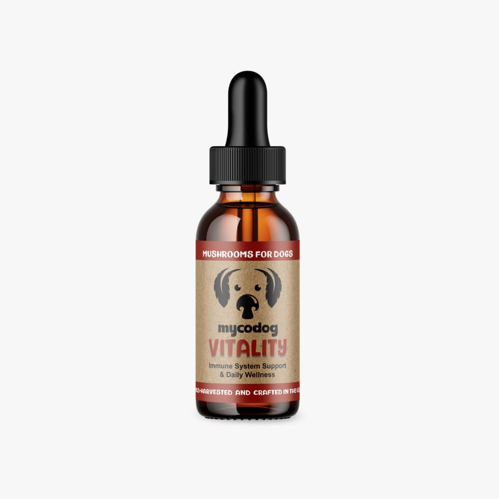 Pet product